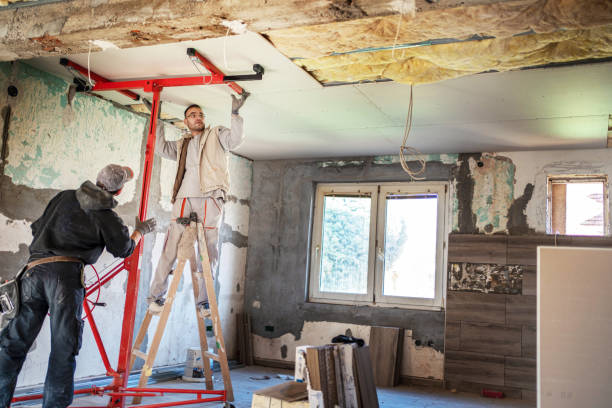 Best Insulation Maintenance and Repair in Cherry Creek, CO